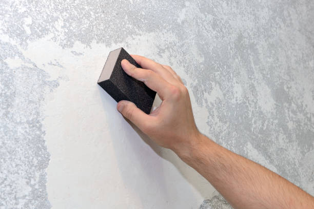 Best HVAC Mold Inspection and Cleaning  in Callaway, FL