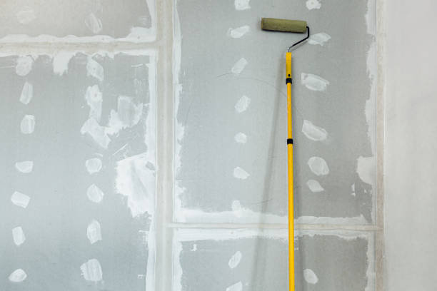 Environmental Consulting for Mold Prevention in Callaway, FL