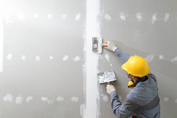 Mold Odor Removal Services in Callaway, FL