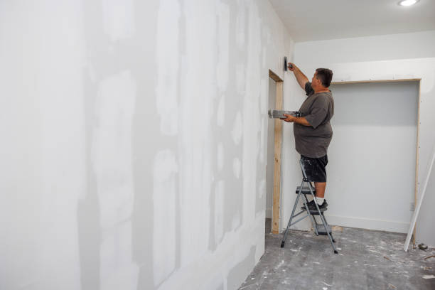 Best Environmental Consulting for Mold Prevention  in Callaway, FL