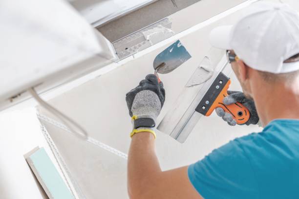 Callaway, FL Mold Removal Company